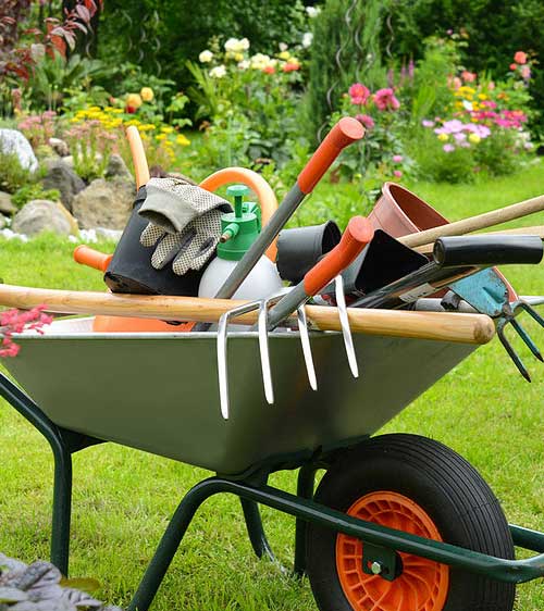 Grundstückpflege | SauberkeitPlus+